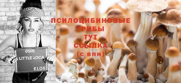 spice Верея